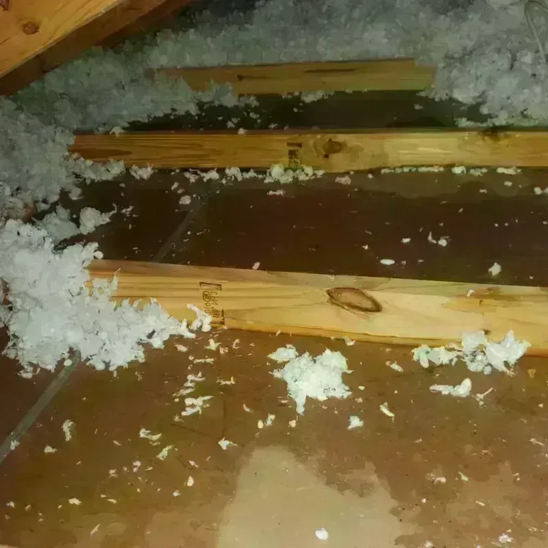 Attic Water Damage in Corson County, SD